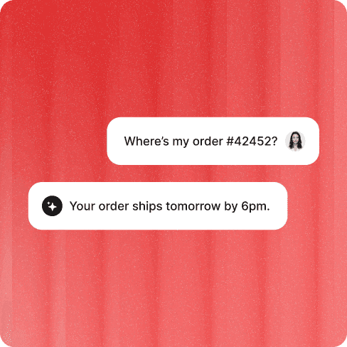Customer asks where their order is; the AI agent replies instantly